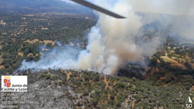 Восьми автономным сообществам Испании угрожают новые очаги лесных пожаров: ситуация по регионам