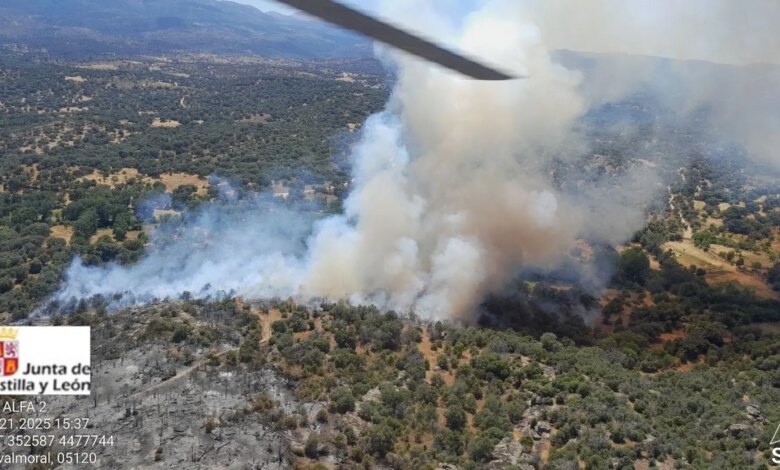 Восьми автономным сообществам Испании угрожают новые очаги лесных пожаров: ситуация по регионам