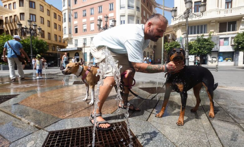 Испанию накрыла рекордная жара: когда закончится экстремальная волна тепла