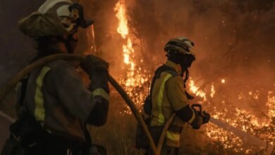 Как изменились лесные пожары в Испании за последние 40 лет: анализ 2025 года