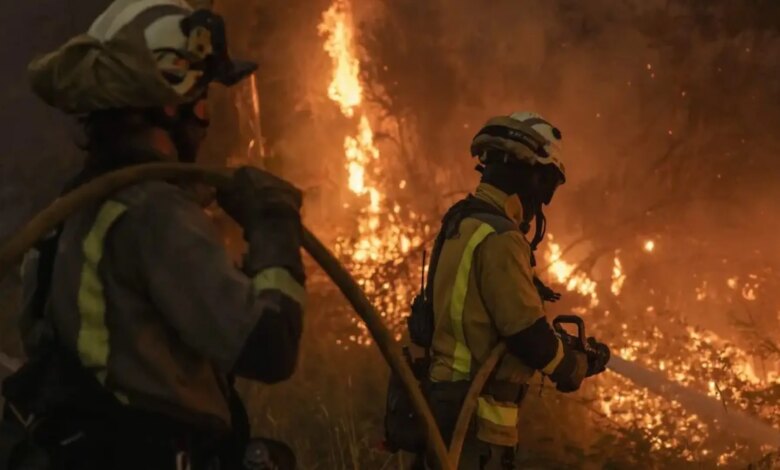 Cómo han cambiado los incendios forestales en España en los últimos 40 años: análisis 2025
