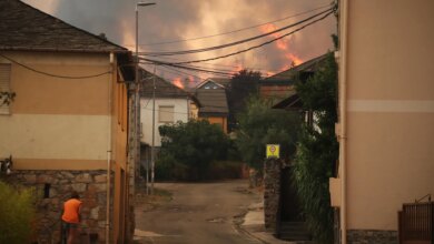 Π ΠΡΠΏΠ°Π½ΠΈΠΈ Ρ Π½Π°ΡΠ°Π»Π° Π³ΠΎΠ΄Π° ΡΠ³ΠΎΡΠ΅Π»ΠΎ Π±ΠΎΠ»Π΅Π΅ 39 ΡΡΡΡΡ Π³Π΅ΠΊΡΠ°ΡΠΎΠ² Π»Π΅ΡΠ° β ΡΠΎΡΡ ΠΏΠΎ ΡΡΠ°Π²Π½Π΅Π½ΠΈΡ Ρ 2024