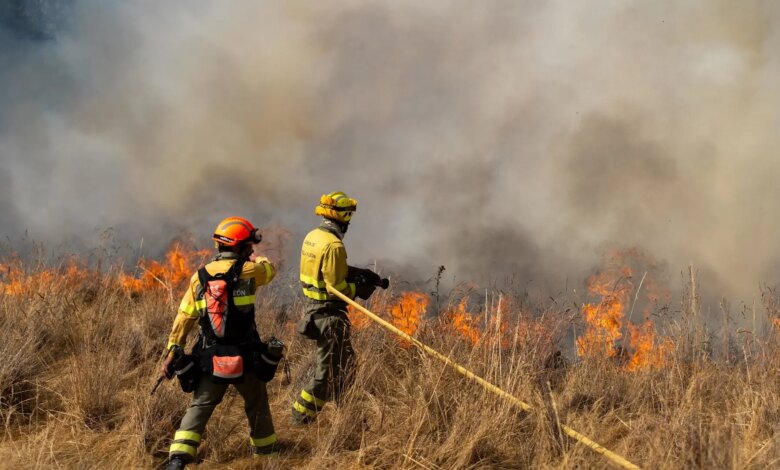 España declara alerta nacional por incendios forestales masivos