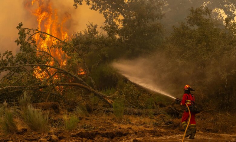 La primavera seca y el calor agravaron los incendios devastadores en toda España durante el verano de 2025