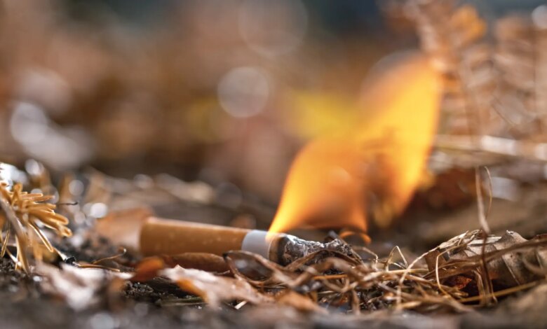 España endurece las sanciones por incendios forestales y delitos en los bosques