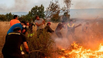 Пострадавшие от пожаров в Испании могут получить статус зоны бедствия для получения помощи