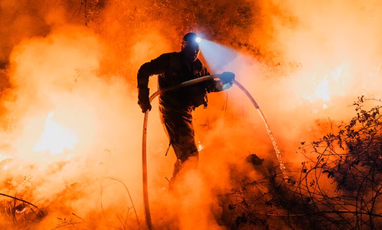Пожары на западе Испании: ситуация стабилизируется после десяти дней борьбы с огнем