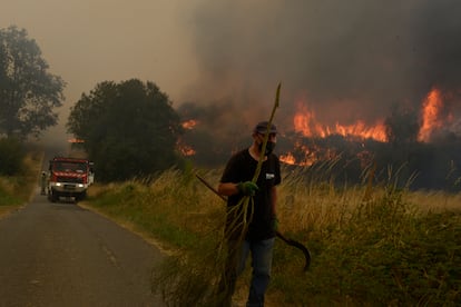 Spain Faces Large-Scale Wildfires: Causes, Consequences, and National Challenges