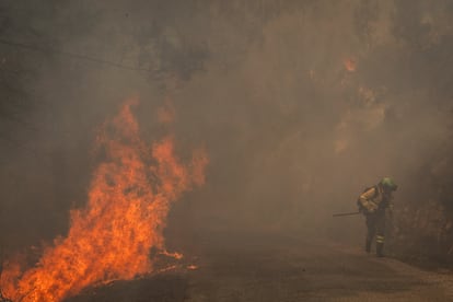 Series of Forest Fires in Spain: Death Toll Rises, Authorities Step Up Measures