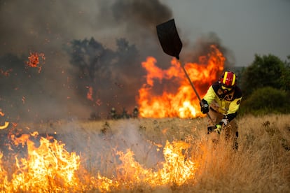 Fires in Castile and León: Firefighters Report Harsh Conditions and Lack of Support