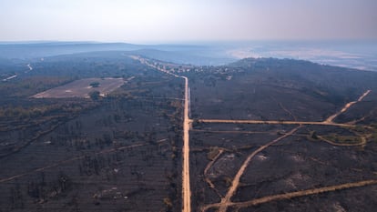 Fires in Castile and Leon: A Week of Disaster Between León and Zamora