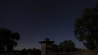 Персеиды 2025 в Андалусии: лучшие места и точное время для наблюдения за главным летним звездопадом