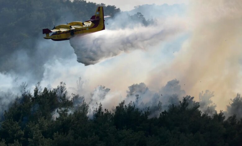 Spain Requests EU Aircraft to Fight Large-Scale Forest Fires