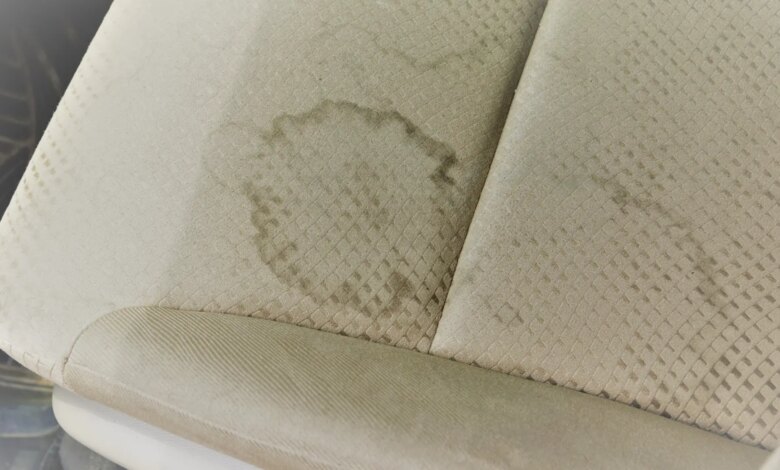 How to Quickly Clean Car Interiors from Stubborn Stains in Spain