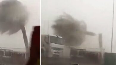 Испания встречает волну жары и нестабильную погоду на севере и в Галисии