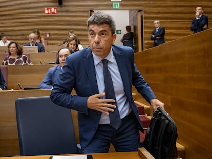 Reacción del jefe de bomberos ante la solicitud de vigilar Poyo durante la tragedia de la DANA