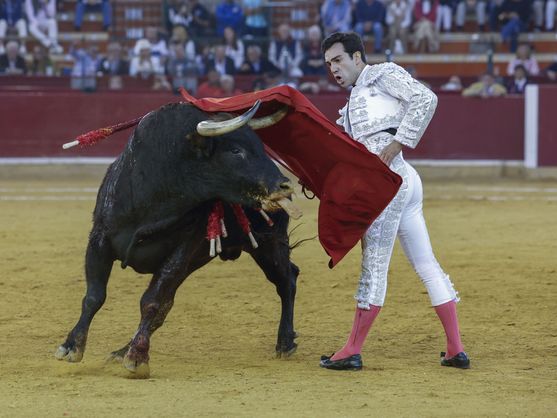Schedule and Program Changes for Bullfights at Fiestas del Pilar 2025