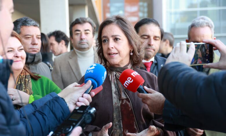 Andalusian Court Summons Government Adviser Over Pandemic Contracts