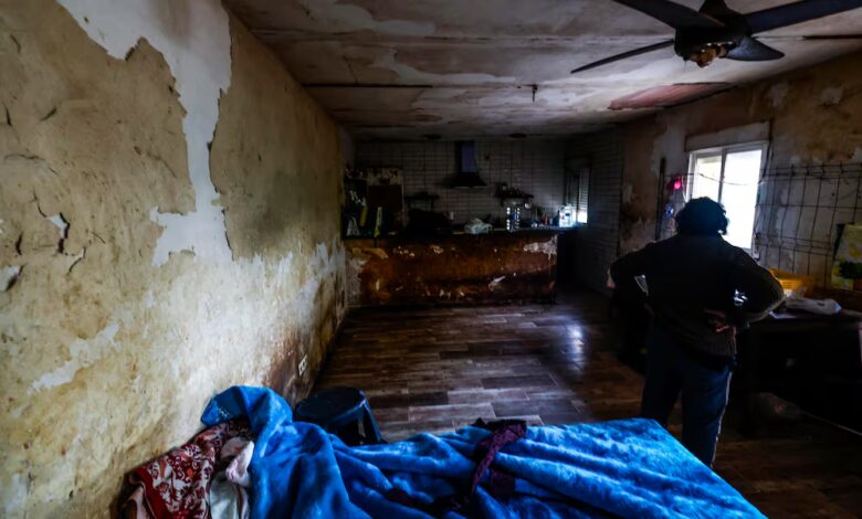 En Madrid rescatan a una mujer y 52 perros de condiciones extremas en una finca abandonada