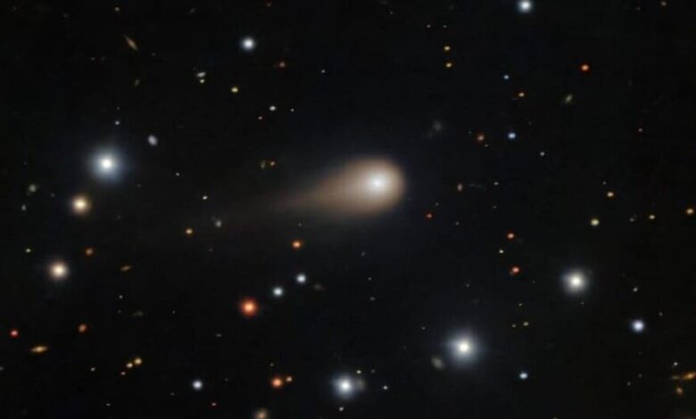 Harvard Astronomer Suggests Interstellar Comet May Have Delivered Probes to Jupiter