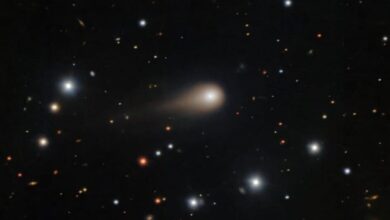 Солнечная плазма вновь угрожает межзвездной комете 3I/ATLAS на большом расстоянии от Солнца