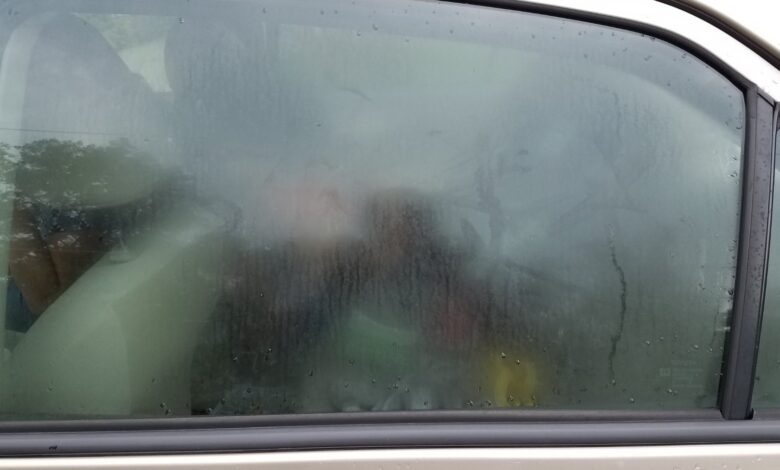 Как быстро избавиться от запотевания стекол в автомобиле зимой и не ошибиться с выбором режима