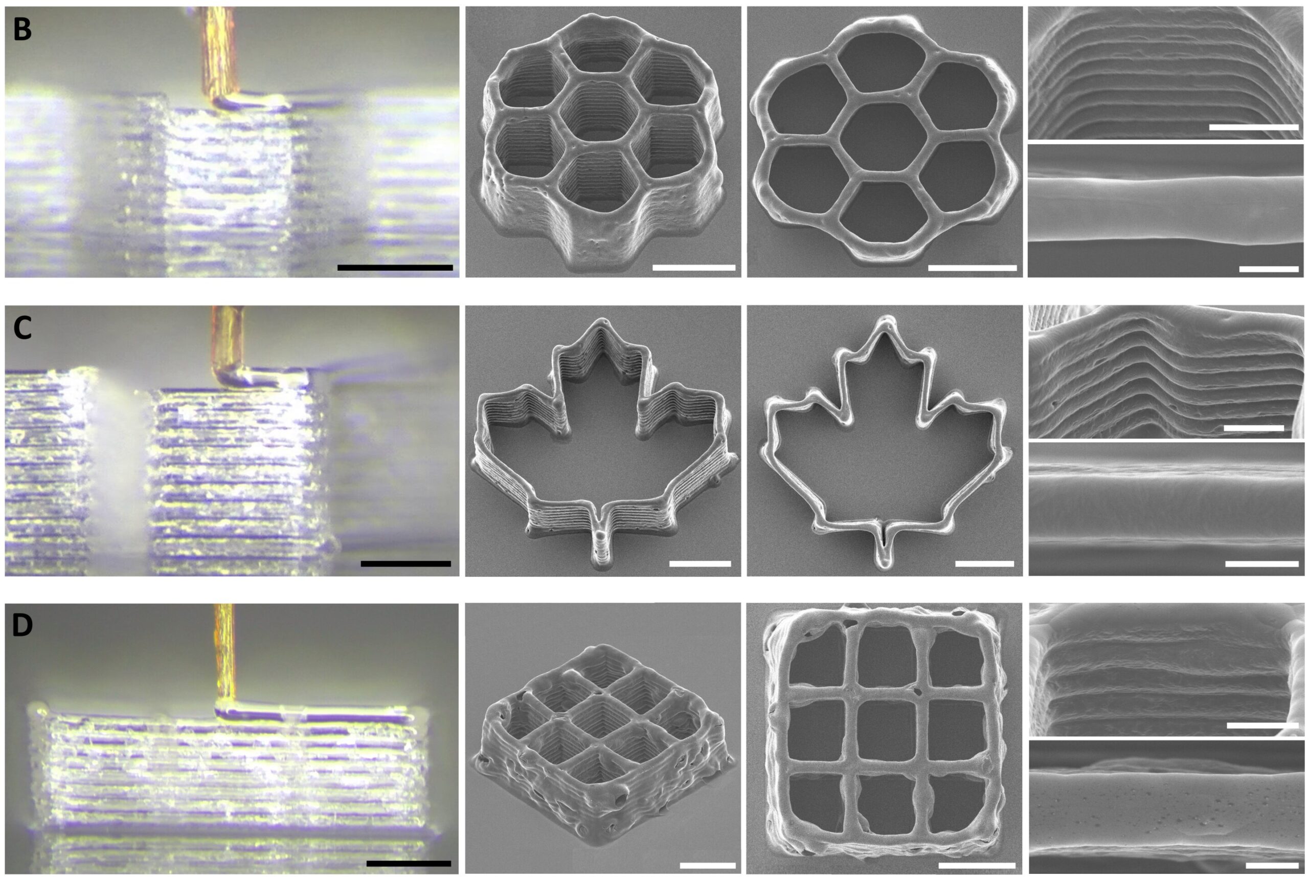 Scientists Develop Ultrathin 3D Printing Nozzle Inspired by Mosquito Proboscis