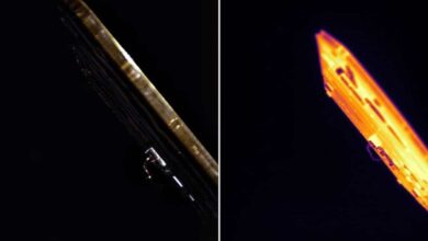 Марсианская миссия ESCAPADE передала на Землю уникальные изображения с борта аппарата