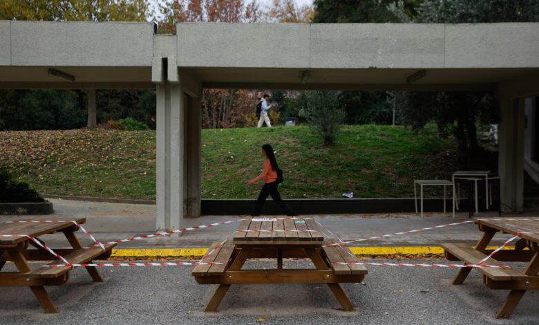 Cataluña endurece restricciones por la peste porcina africana en 91 municipios