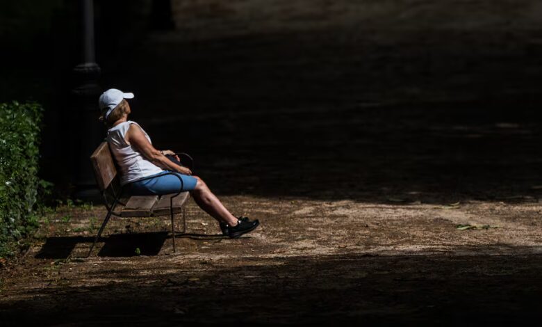 Why Are City Benches Disappearing—and What Are We Losing Along with Them?