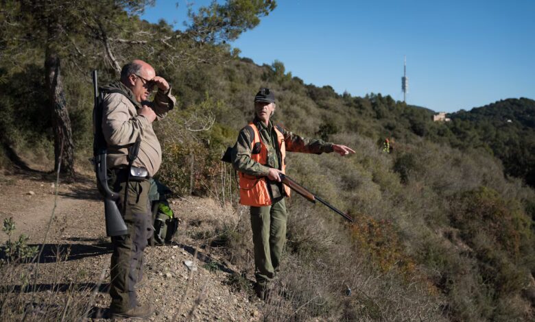 Cazadores catalanes exigen reconocimiento por su papel en la lucha contra la peste porcina