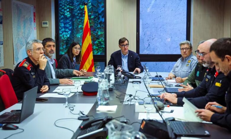 Catalan Authorities Inspect Laboratories Following African Swine Fever Outbreak