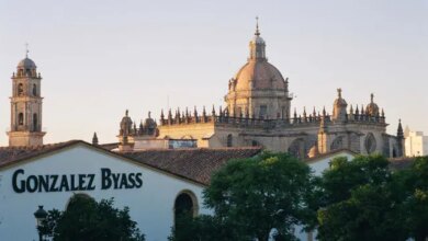 Две испанские винодельни вошли в десятку лучших мира по версии 2025 года