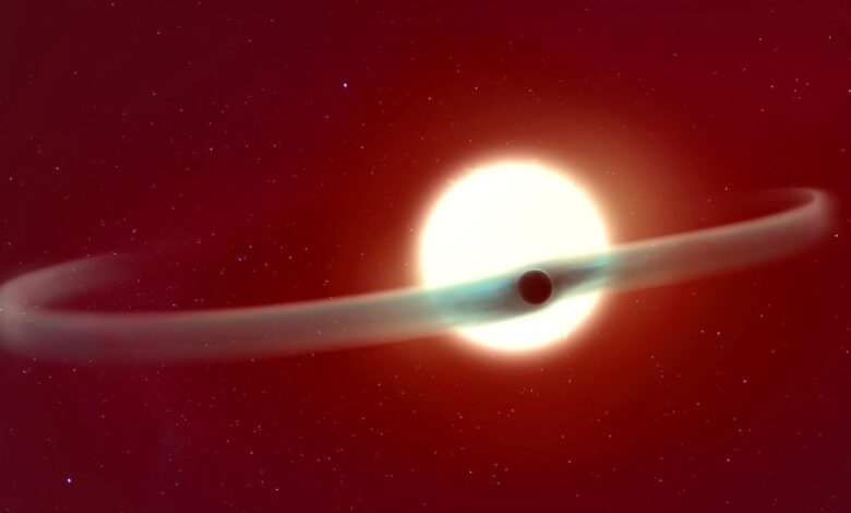 JWST Captures Unique Phenomenon on Exoplanet WASP-121b With Dual Tails