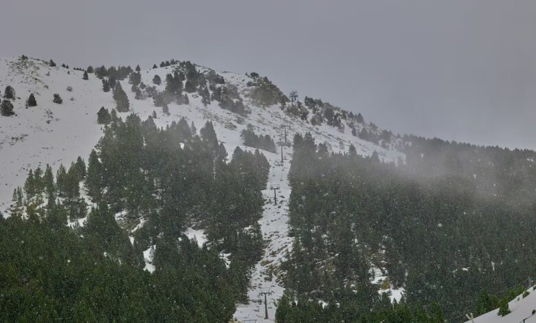 Fatal Avalanche in the Pyrenees Tragedy Off-Piste at Cerler Resort