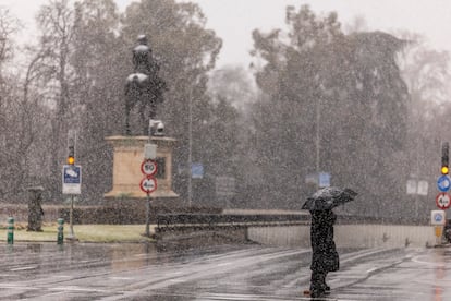 Emergency Measures in Madrid: City Parks Closed Due to Heavy Snowfall