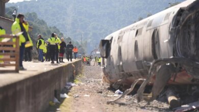 Интервентор поезда Alvia с раненой головой первой сообщила о катастрофе в Адамусе