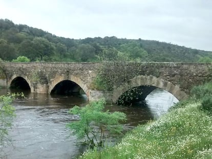 Bloody night near Barcelona What the battlefield discoveries reveal