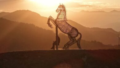 ΠΠ΅Π»Π΅Π·Π½ΡΠΉ ΠΊΠΎΠ½Ρ Π½Π° Π²Π΅ΡΡΠΈΠ½Π΅: Π½Π΅ΠΎΠ±ΡΡΠ½ΡΠΉ ΠΏΠ°ΠΌΡΡΠ½ΠΈΠΊ ΠΈ ΡΠ°ΠΉΠ½ΡΠΉ ΠΎΠ±Π·ΠΎΡΠ½ΡΠΉ ΠΏΡΠ½ΠΊΡ ΠΡΡΡΡΠΈΠΈ