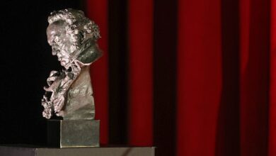 Все номинанты на премию Гойя 2026 — испанское кино удивляет масштабом