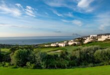 Молодые звезды гольфа