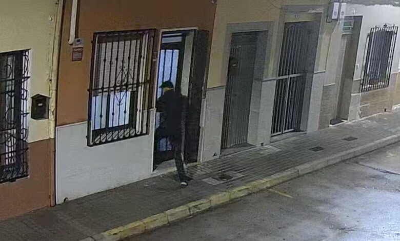 Dog saves woman in Valencia: attack and gang arrest