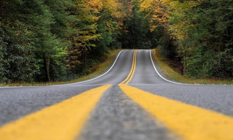 Флуоресцентные линии на дорогах: видимость выше, расходы в 20 раз больше