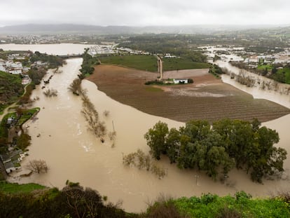 Authorities Urgently Ease Requirements for Subsidy Eligibility