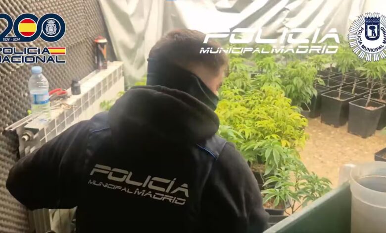 Clan familiar detenido: cuatro narcopisos desmantelados en Madrid