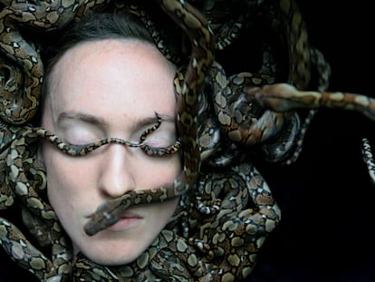 Картины великих мастеров вместо денег: как искусство стало валютой на Канарах