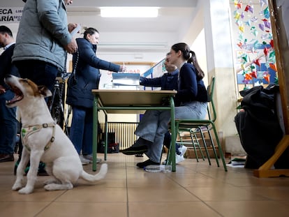 How New Data and Voter Turnout Are Shaping Spain’s Political Landscape