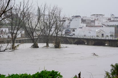 Powerful Storm in Andalusia: Mass Evacuations, Destruction and Alarm Over Rivers