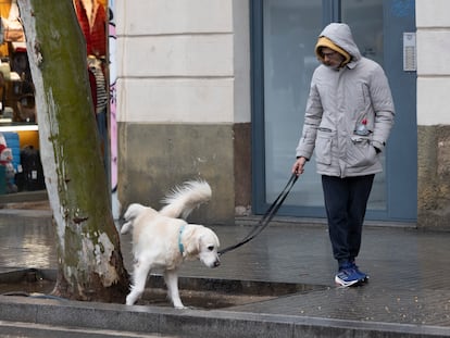 Barcelona Tightens Control with New Fines for Public Order Violations