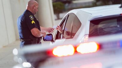 Водитель задержан с полумиллионом евро и следами кокаина на границе Франции RUSSPAIN.COM